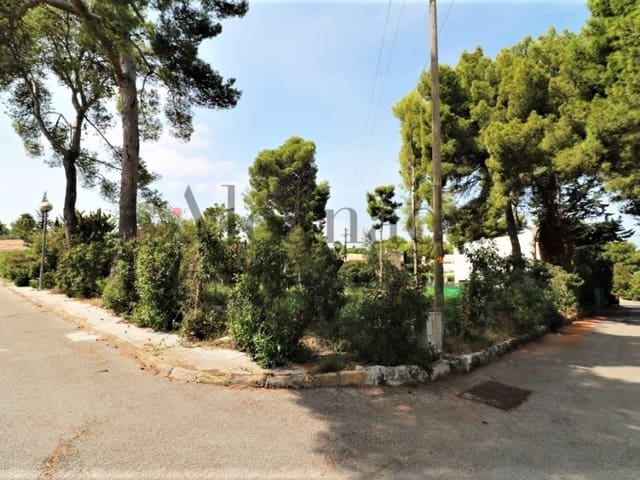 Tontti myytävänä paikassa Alcúdia - 341 000 € (Ref: 3990131)