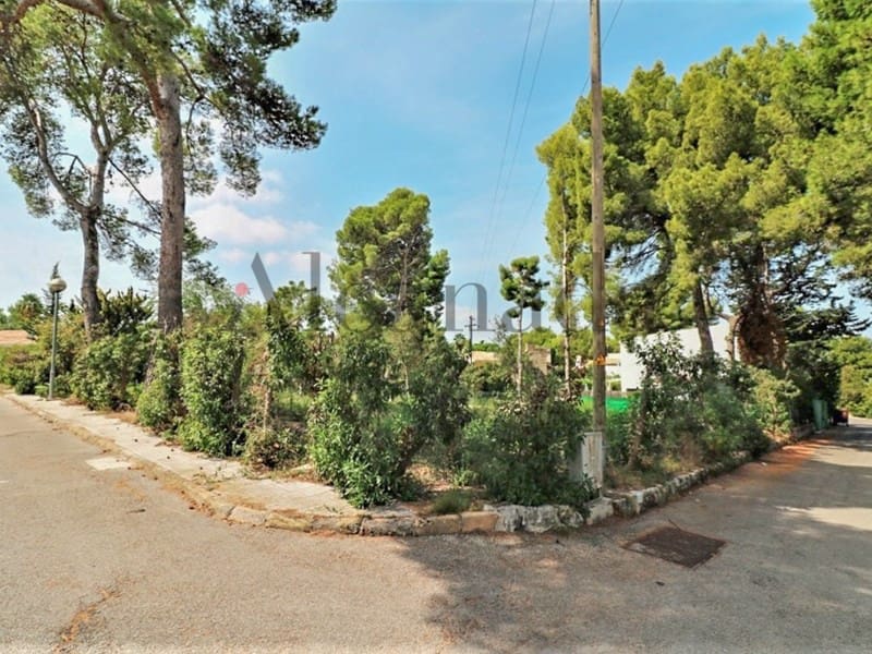 Solar/Parcela en Alcúdia en venta - 420.000 € (Ref: 3990135)