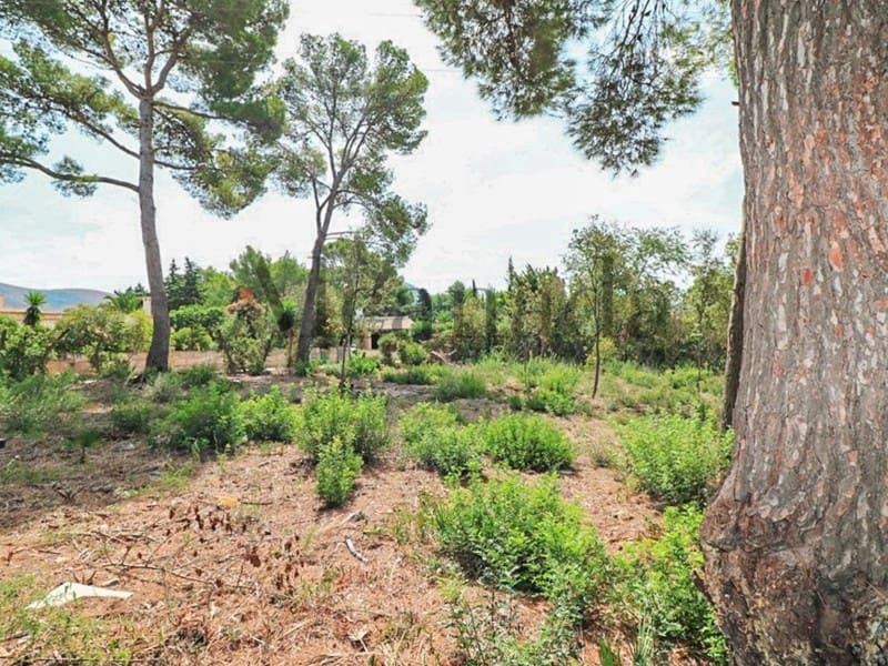 Solar/Parcela en Alcúdia en venta - 420.000 € (Ref: 3990135)