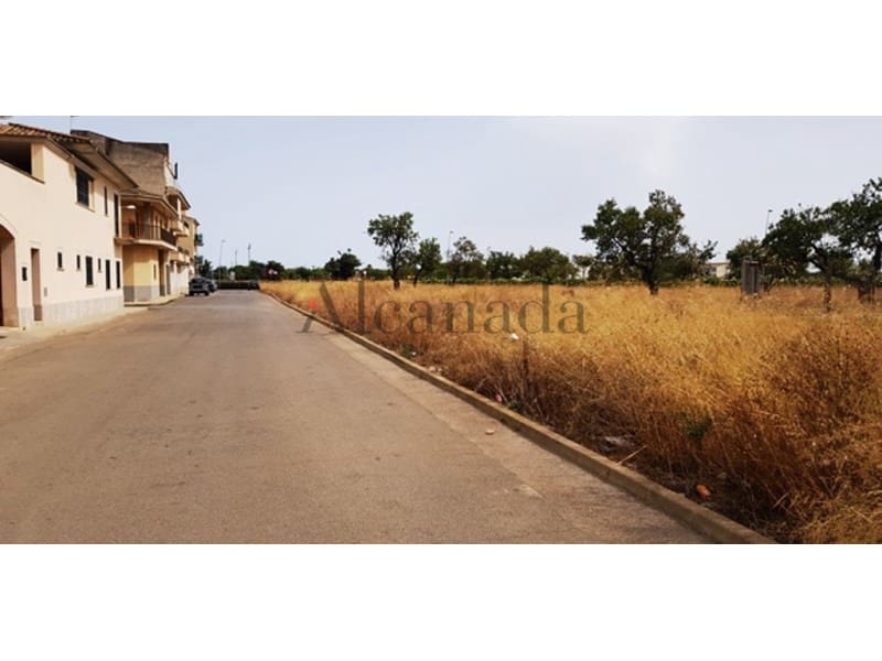 Commercial for sale in Sa Pobla - € 690,000 (Ref: 4061409)