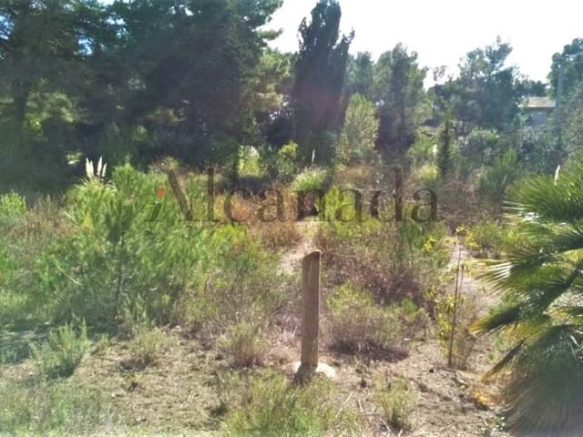 Tomt till salu i Capdepera - 1 270 000 € (Ref: 4455596)