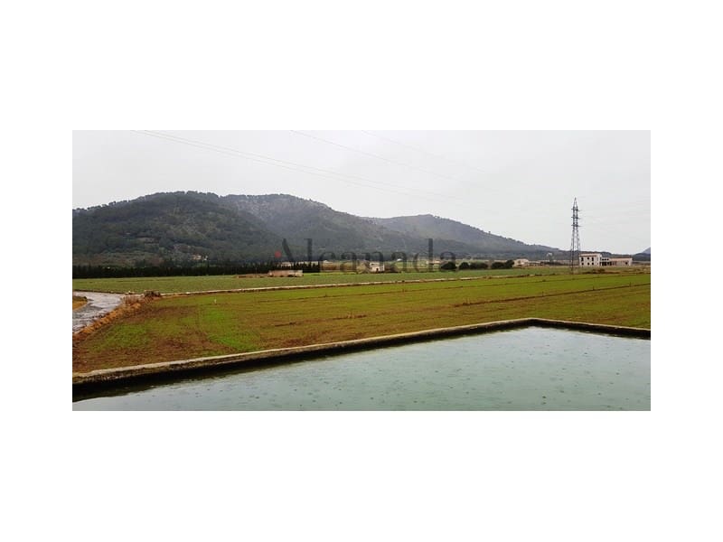 Grunde uden byggetilladelser til salg i Sa Pobla - € 103.000 (Ref: 4464713)