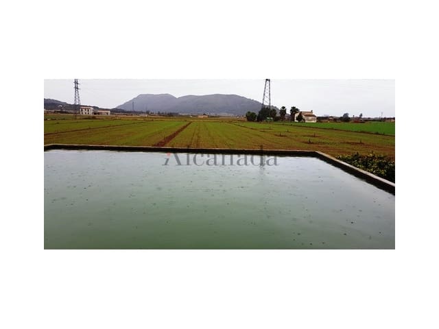 Grunde uden byggetilladelser til salg i Sa Pobla - € 103.000 (Ref: 4464713)