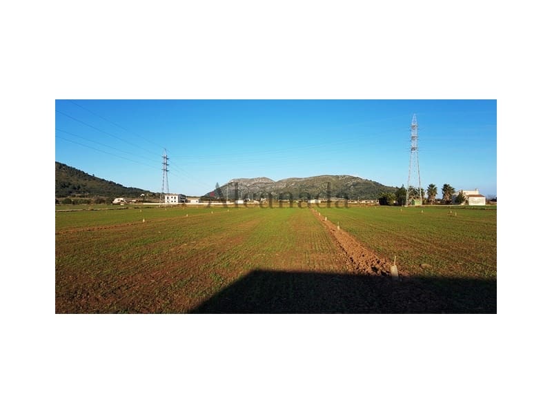 Grunde uden byggetilladelser til salg i Sa Pobla - € 103.000 (Ref: 4464713)