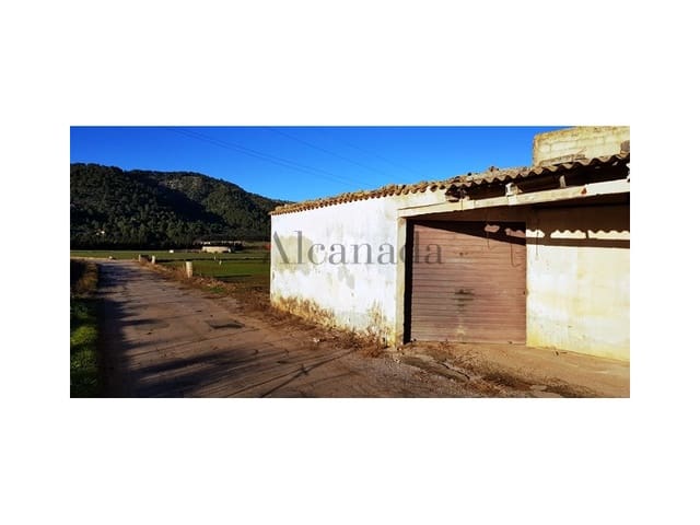 Grunde uden byggetilladelser til salg i Sa Pobla - € 103.000 (Ref: 4464713)