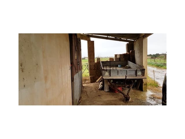 Grunde uden byggetilladelser til salg i Sa Pobla - € 103.000 (Ref: 4464713)