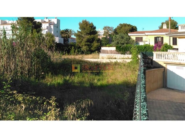 Download Platja cortines de cafe HD