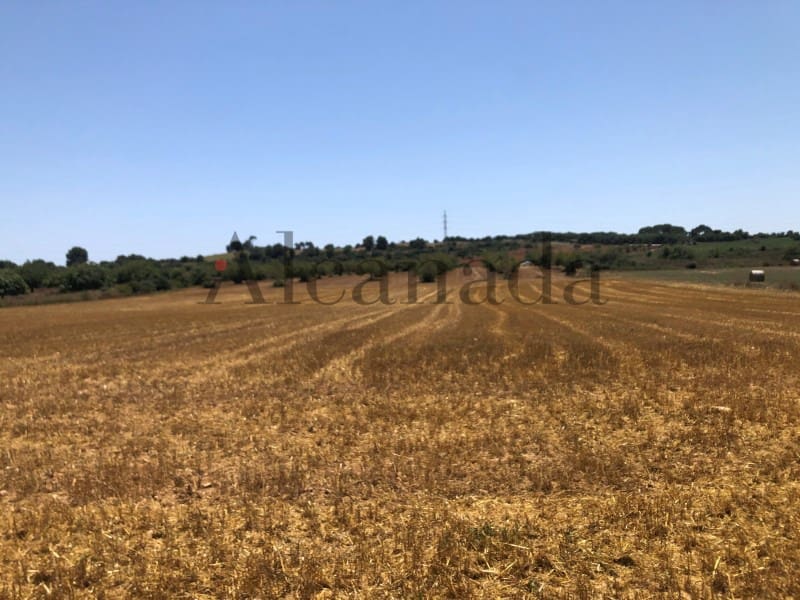 Undeveloped Land for sale in Portocristo / Port de Manacor - € 194,250 (Ref: 5876163)