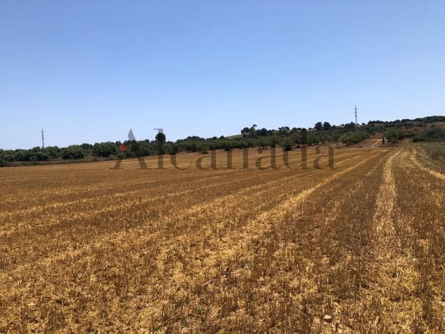 Undeveloped Land for sale in Portocristo / Port de Manacor, Manacor - € 194,250 (Ref: 5876163)