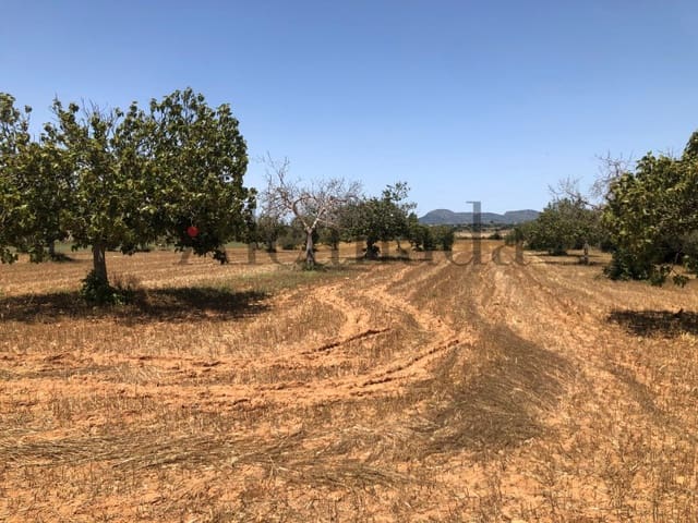 Undeveloped Land for sale in Portocristo / Port de Manacor, Manacor - € 194,250 (Ref: 5876163)