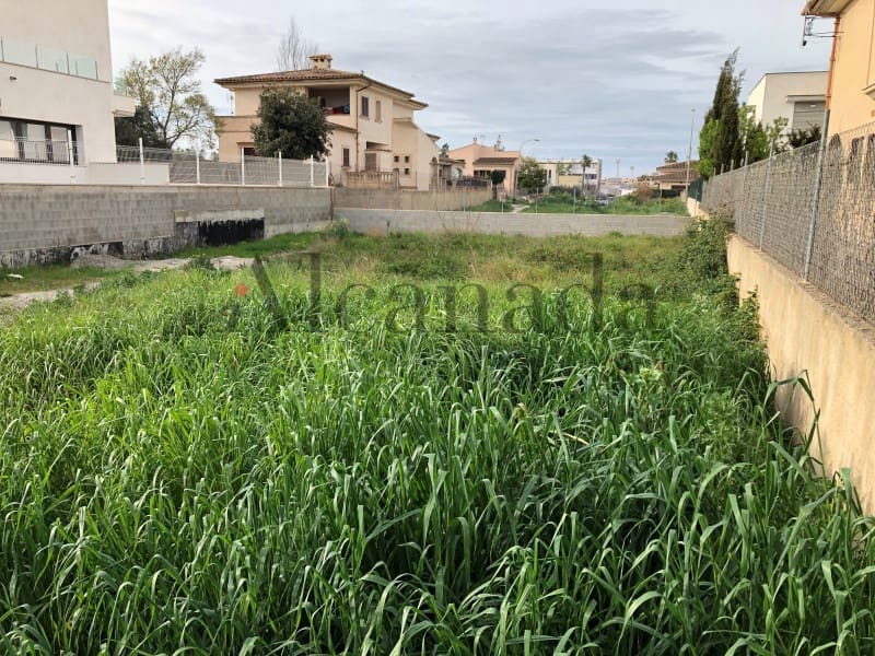 Building Plot for sale in Manacor - € 273,000 (Ref: 5876164)