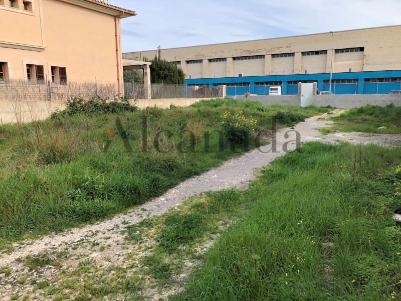 Building Plot for sale in Manacor - € 273,000 (Ref: 5876164)