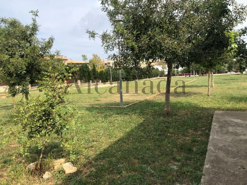 Building Plot for sale in Manacor - € 273,000 (Ref: 5876164)