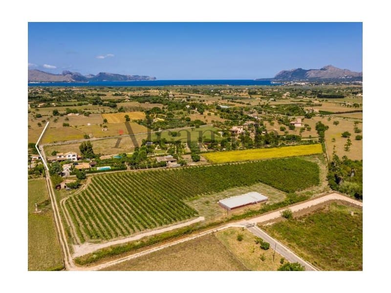 4 chambre Villa/Maison à vendre à Alcudia avec piscine - 4 200 000 € (Ref: 6010280)