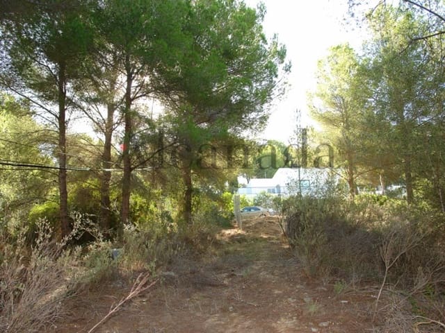 Building Plot for sale in Cala Vinyes / Cala Vinyas / Cala Viñas, Calvià - € 848,000 (Ref: 6140514)