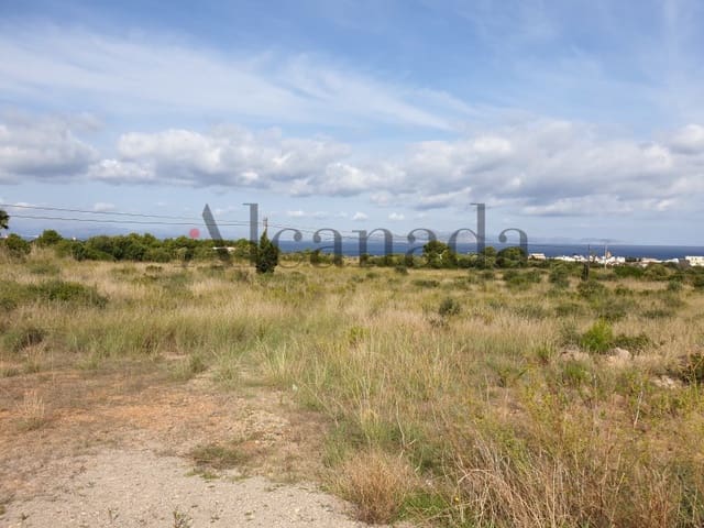 Undeveloped Land for sale in Colonia de Sant Pere / Colonia de San Pedro, Artà - € 800,000 (Ref: 6239572)