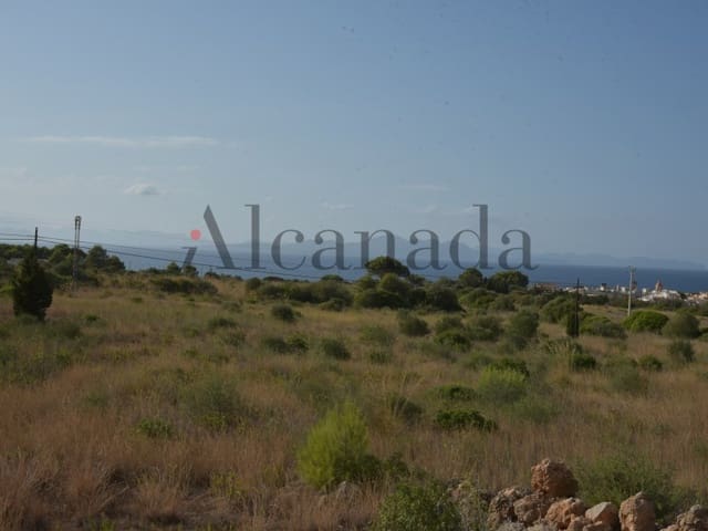 Undeveloped Land for sale in Colonia de Sant Pere / Colonia de San Pedro, Artà - € 800,000 (Ref: 6239572)