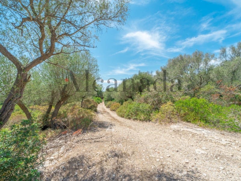 Grunde uden byggetilladelser til salg i Alcudia - € 750.000 (Ref: 6266949)