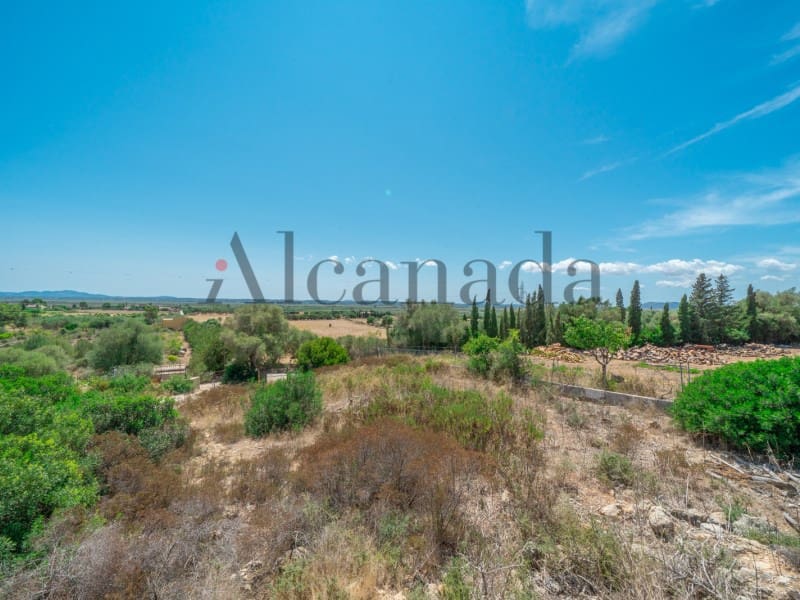 Grunde uden byggetilladelser til salg i Alcudia - € 750.000 (Ref: 6266949)
