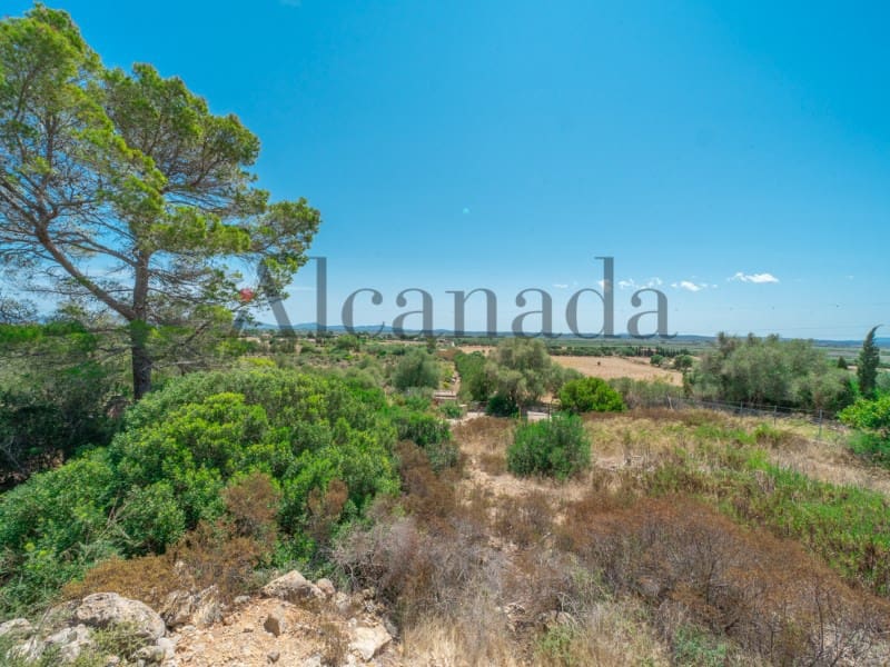 Grunde uden byggetilladelser til salg i Alcudia - € 750.000 (Ref: 6266949)