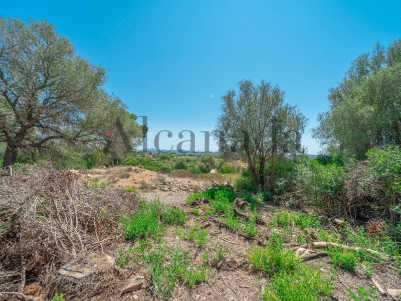 Grunde uden byggetilladelser til salg i Alcudia - € 750.000 (Ref: 6266949)