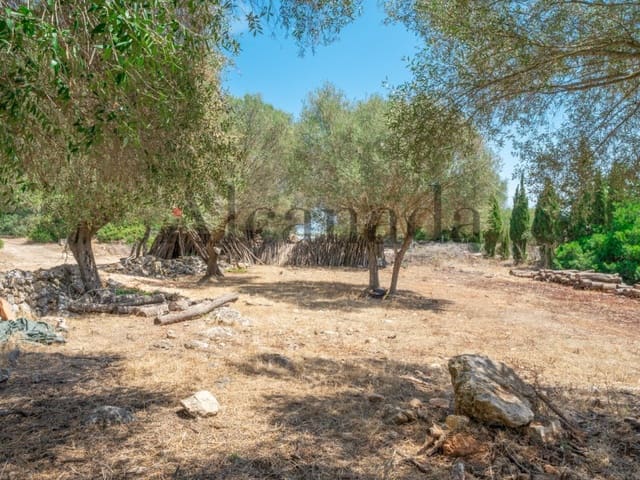 Grunde uden byggetilladelser til salg i Alcúdia - € 750.000 (Ref: 6266949)