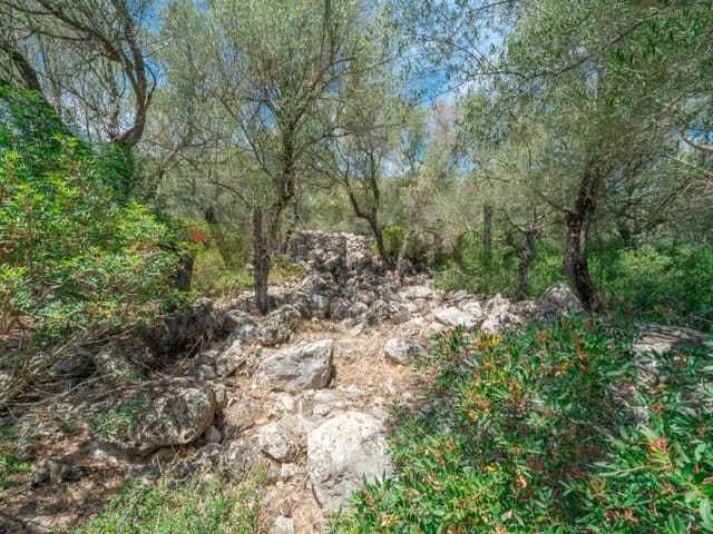 Grunde uden byggetilladelser til salg i Alcúdia - € 750.000 (Ref: 6266949)