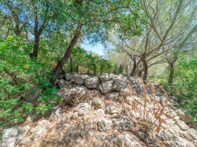 Grunde uden byggetilladelser til salg i Alcúdia - € 750.000 (Ref: 6266949)