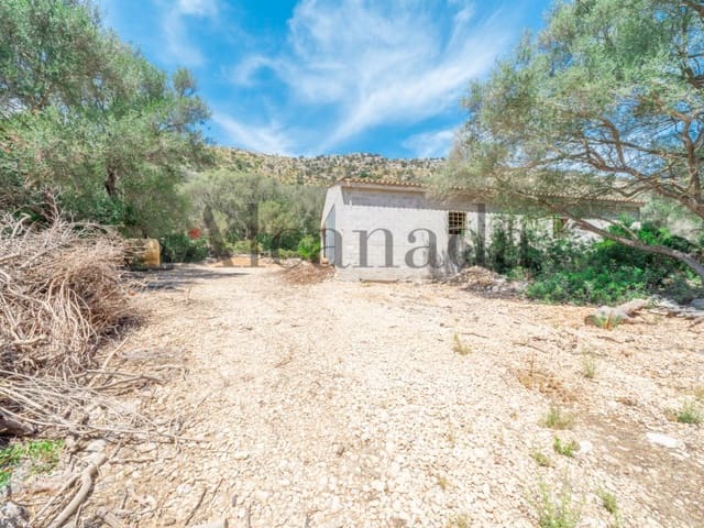 Grunde uden byggetilladelser til salg i Alcúdia - € 750.000 (Ref: 6266949)
