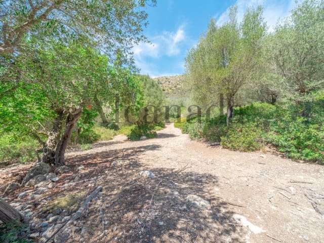 Grunde uden byggetilladelser til salg i Alcúdia - € 750.000 (Ref: 6266949)