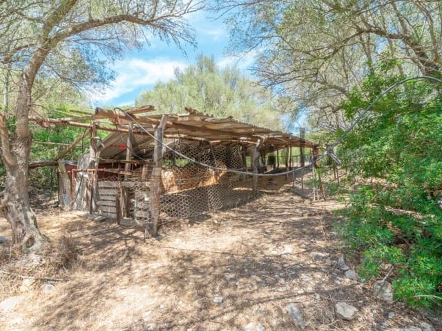 Grunde uden byggetilladelser til salg i Alcúdia - € 750.000 (Ref: 6266949)