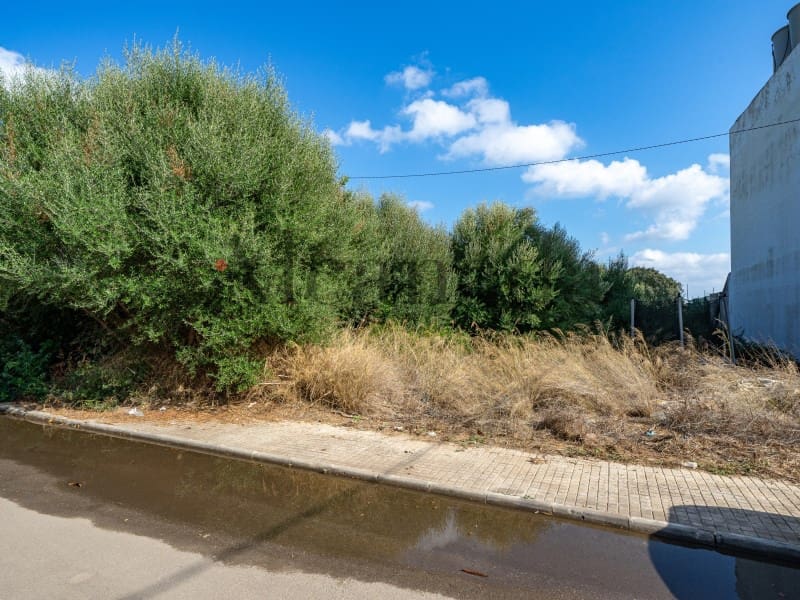 Terrain à Bâtir à vendre à Alcudia - 340 000 € (Ref: 6353079)