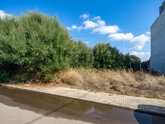 Terreno para Construção para venda em Alcúdia - 340 000 € (Ref: 6353079)