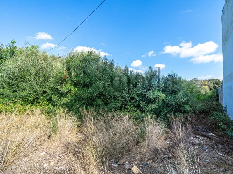 Terrain à Bâtir à vendre à Alcudia - 340 000 € (Ref: 6353079)