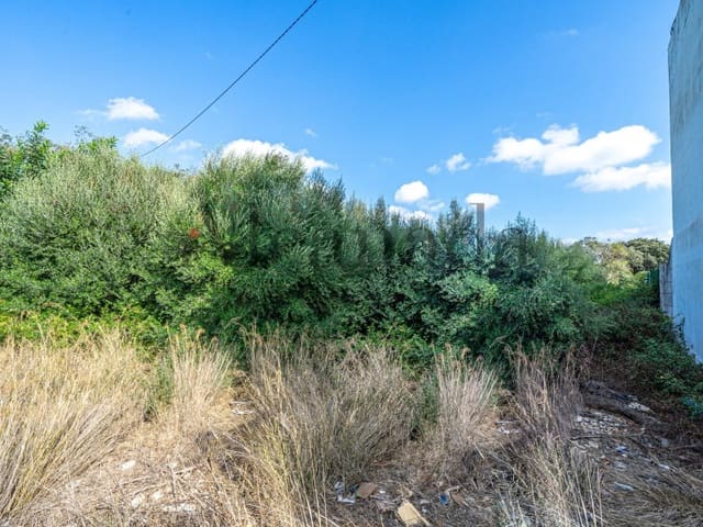 Terreno para Construção para venda em Alcúdia - 340 000 € (Ref: 6353079)