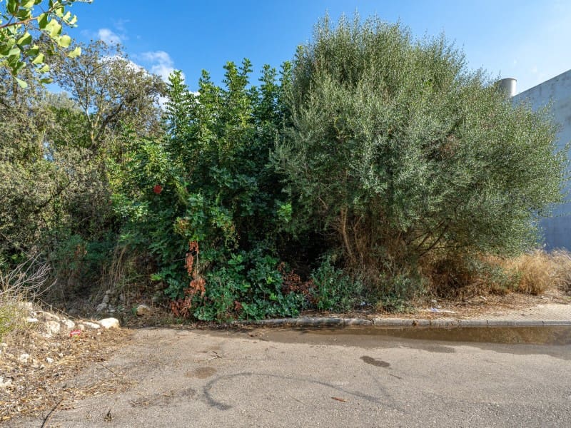 Terrain à Bâtir à vendre à Alcudia - 340 000 € (Ref: 6353079)