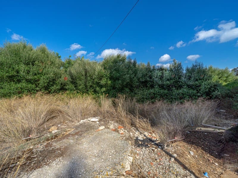 Terrain à Bâtir à vendre à Alcudia - 340 000 € (Ref: 6353079)