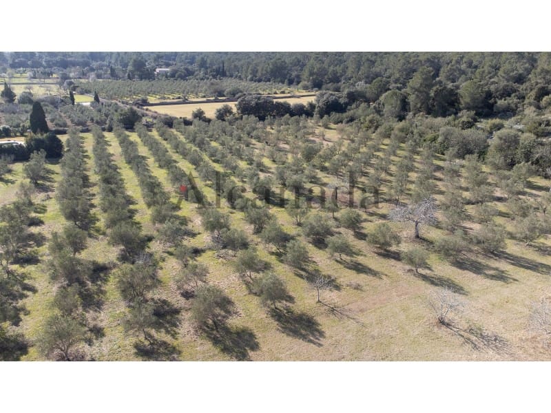 11 makuuhuone Huvila myytävänä paikassa Pollensa / Pollenca mukana uima-altaan 
autotalli - 9 000 000 € (Ref: 6640000)