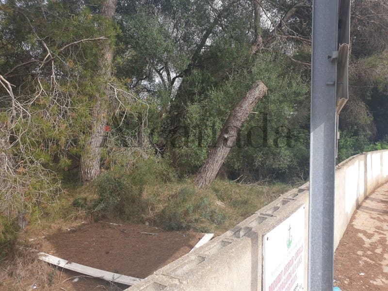 Building Plot for sale in Ca'n Picafort - € 244,000 (Ref: 6854783)