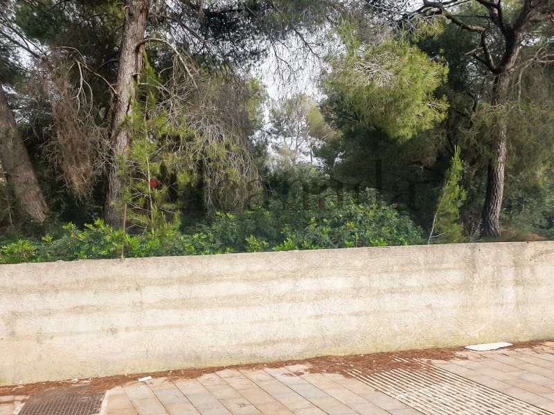 Building Plot for sale in Ca'n Picafort - € 244,000 (Ref: 6854783)