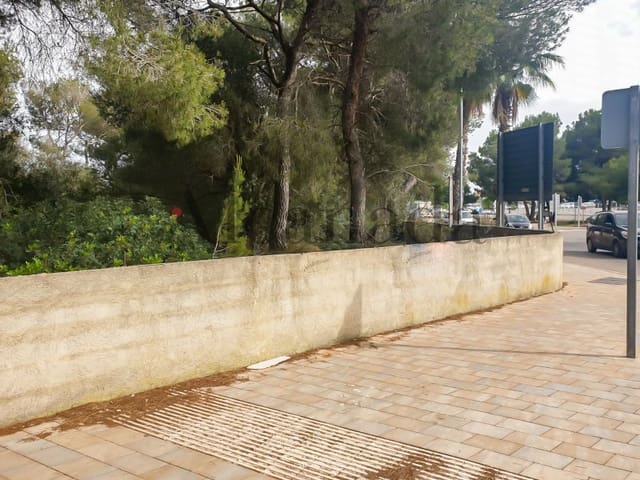 Building Plot for sale in Ca'n Picafort, Santa Margalida - € 244,000 (Ref: 6854783)