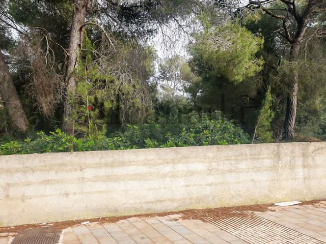 Building Plot for sale in Ca'n Picafort, Santa Margalida - € 244,000 (Ref: 6854783)