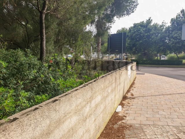 Building Plot for sale in Ca'n Picafort, Santa Margalida - € 244,000 (Ref: 6854783)