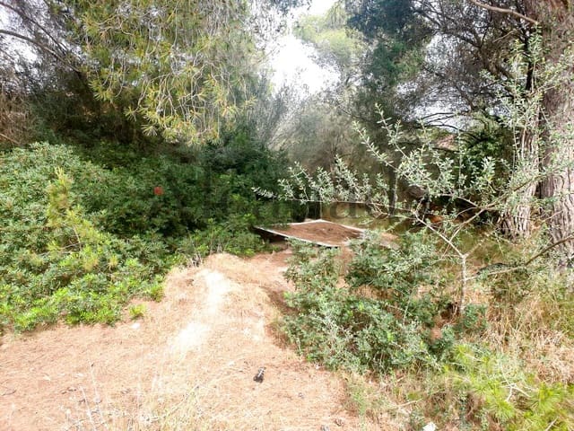 Building Plot for sale in Ca'n Picafort, Santa Margalida - € 244,000 (Ref: 6854783)