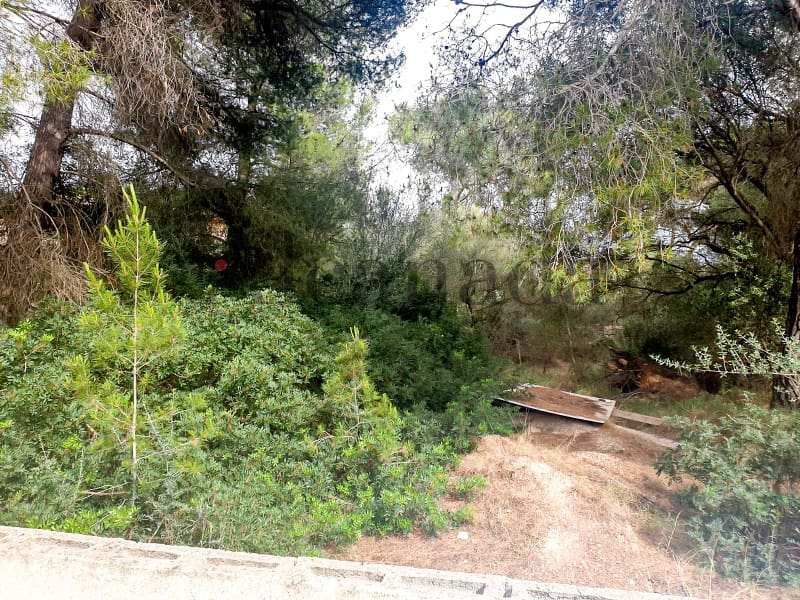 Building Plot for sale in Ca'n Picafort - € 244,000 (Ref: 6854783)