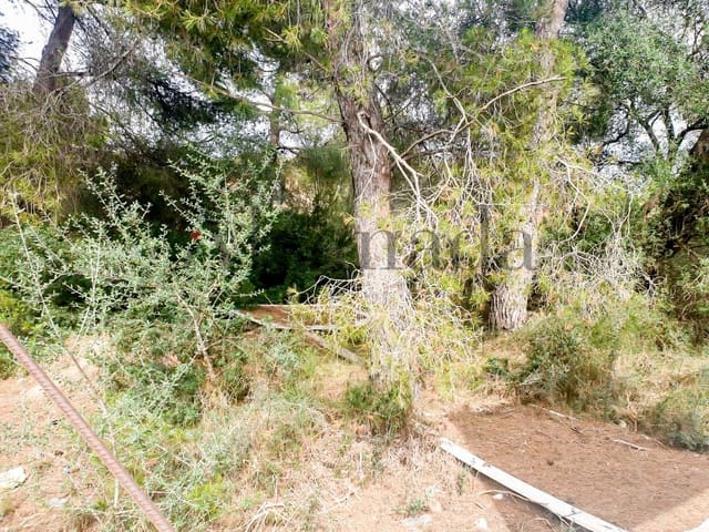 Building Plot for sale in Ca'n Picafort, Santa Margalida - € 244,000 (Ref: 6854783)