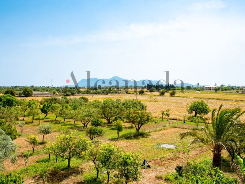 Terreno Non Edificato in vendita in Alcudia - 1.900.000 € (Rif: 6879650)