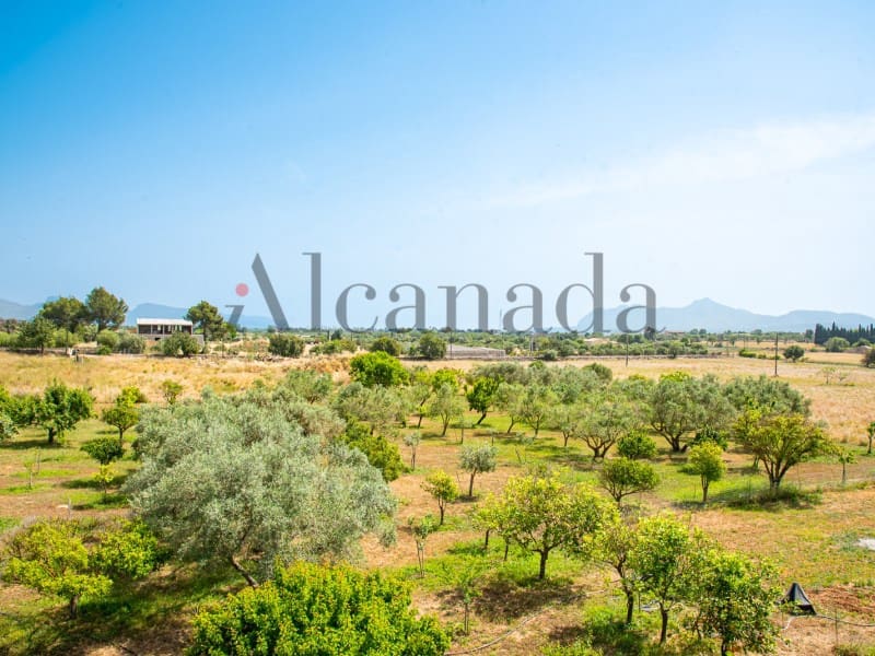Terreno Non Edificato in vendita in Alcudia - 1.900.000 € (Rif: 6879650)