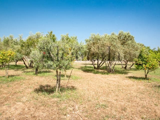 Landgrundstück zu verkaufen in Alcúdia - 1.900.000 € (Ref: 6879650)