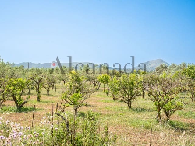 Landgrundstück zu verkaufen in Alcúdia - 1.900.000 € (Ref: 6879650)